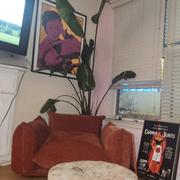 Sohnne Support Marenco Sofa 1 Seater Review