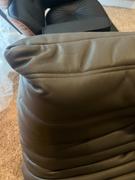 Sohnne Support Ducaroy Loveseat Leather Review