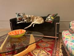 Sohnne Support Corbusier LC2 Petit Modele Sofa Review