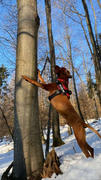 Good4Dogs Mleto konjsko meso 2 kg Review