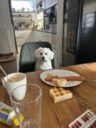 Good4Dogs Goveji vampi 2 kg Review