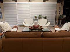 Modholic Arch Shell Chair, Black Review