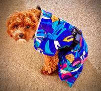 Scribbler Gear Scribbler Pets Jungle waterproof raincoat for dogs Review