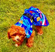 Scribbler Gear Scribbler Pets Jungle waterproof raincoat for dogs Review