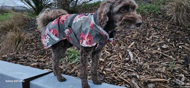 Scribbler Gear Scribbler Pets Military Peony lined raincoat for dogs Review