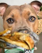 Oh My Paws Mackerel Chews Review