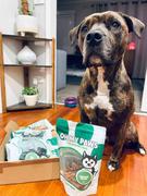 Oh My Paws Hardy Heads Review