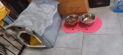 Thanea BALIMATTE - Ausgeklügelte Schmutzfangmatte für den sauberen Essensplatz Review