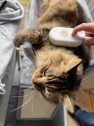 Thanea PETSPA - Effiziente Katzenhaarbürste mit Massage- und  Dampfunktion Review