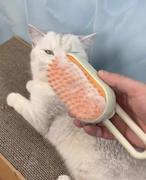 Thanea PETSPA - Effiziente Katzenhaarbürste mit Massage- und  Dampfunktion Review