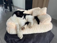 Thanea CATICO - Flauschige Katzencouch für einfache jede Katze Review