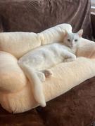 Thanea CATICO - Flauschige Katzencouch für einfache jede Katze Review