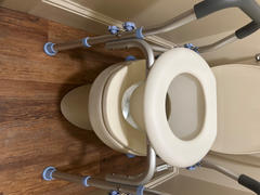 OasisSpace 300LBS Capacity Raised Toilet Seat with Arms Review