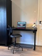 FlexiSpot DE  Review