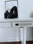 FlexiSpot DE  Review