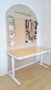 FlexiSpot DE  Review