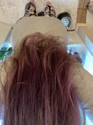 The Ayurveda Experience Mini Hair Oil Kit - 5 Ayurvedic Hair Oil Minis Review