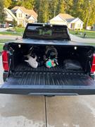 Tmat Golf Cradle with Tmat Anchors Review