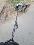info@wishbone24.de DOCAFIT- Anti-Schock-Hundeleine  |  Schonend für Mensch und Hund, durch 2 Ruckdämpfer Review