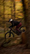 BikesOnline US Polygon Collosus N8E - E-Mountain Bike Review