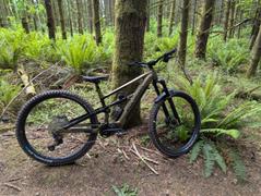 BikesOnline US Polygon Siskiu T7E - E-Mountain Bike Review
