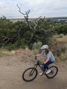 BikesOnline US Polygon Xtrada 7 - Mountain Bike Review