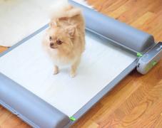 BrilliantPad BrilliantPad Smart Dog Potty Review