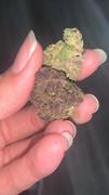 The Human Condition Shop Watermelon Gelato • Indica • Greenhouse Flower • 32.62% THCa Review