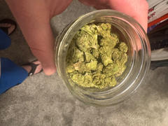 The Human Condition Shop Kiwi • Sativa Hybrid • Greenhouse Micro-Buds • 25.72% THCa Review