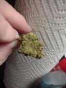 The Human Condition Shop AK47 • Sativa Hybird • Greenhouse Flower • 27.97% THCa Review