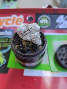 Vancity Labs THCa Snowballs -  Ice Cream Cake AAA Review