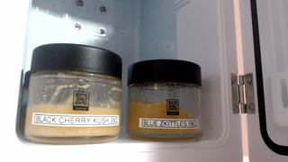 Vancity Labs Blue Zkittlez - Live Resin Review