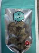 Vancity Labs Mac 1 - AAA Review