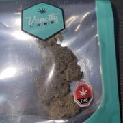 Vancity Labs Dino Breath - AAAA Review