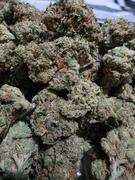 Vancity Labs Chocolatina - AAAA Review