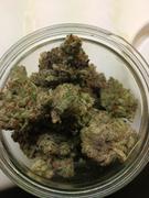 Vancity Labs Secret Cookies x Kush Mints - AAAA Review