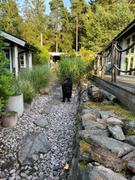 Upplevelse.com Glamping med all-inclusive för två Review