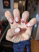 Light Elegance  Review