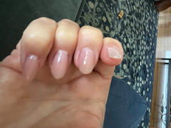 Light Elegance BLINKForms | Universal | 48 pcs Review