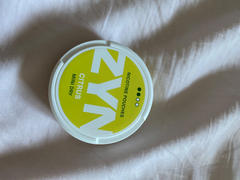 Rush Tins ZYN - Citrus Mini Dry Review