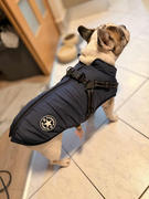 Naturesdog.hu Bélelt téli kutyakabát hámmal Review