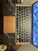 fishskyn Prism (MacBook Skin) Review