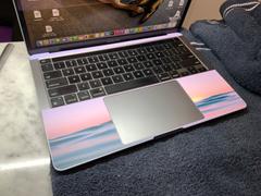 fishskyn Malibu (MacBook Skin) Review