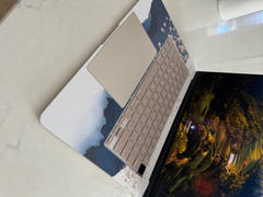 fishskyn Azure (MacBook Skin) Review