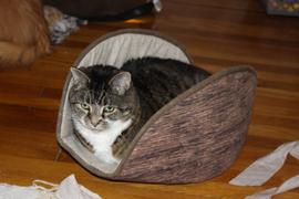 The Cat Ball Jumbo Cat Canoe - Brown Wood Grain Review