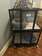 Homey Pet Official 31 Two-Tier Dog Crate 46A Review