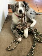 K9 Active Rukka Star Collar Review