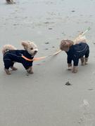 K9 Active Rukka Thermal Overall Review