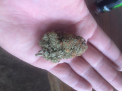 Cali Canna Platinum Kush Review