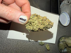 Cali Canna Secret Weapon Review